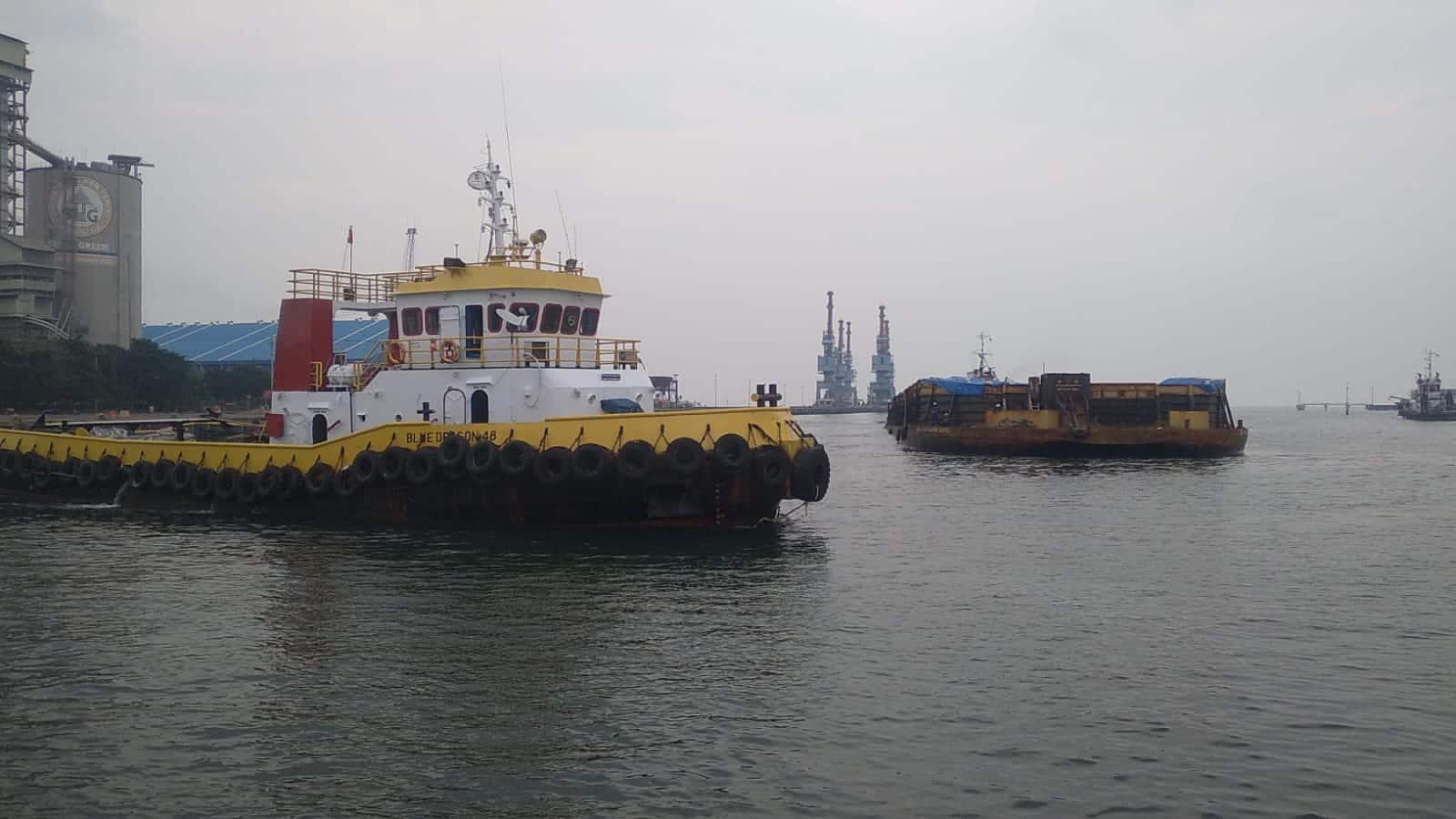 tb. blue dragon 48 bg. sea dragon 3048